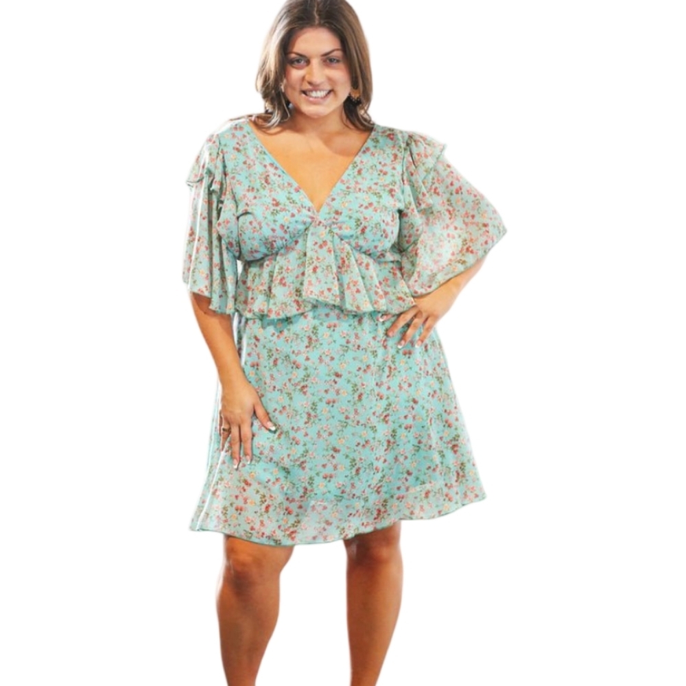 Haptics Eleanor Chiffon Ruffle Dress